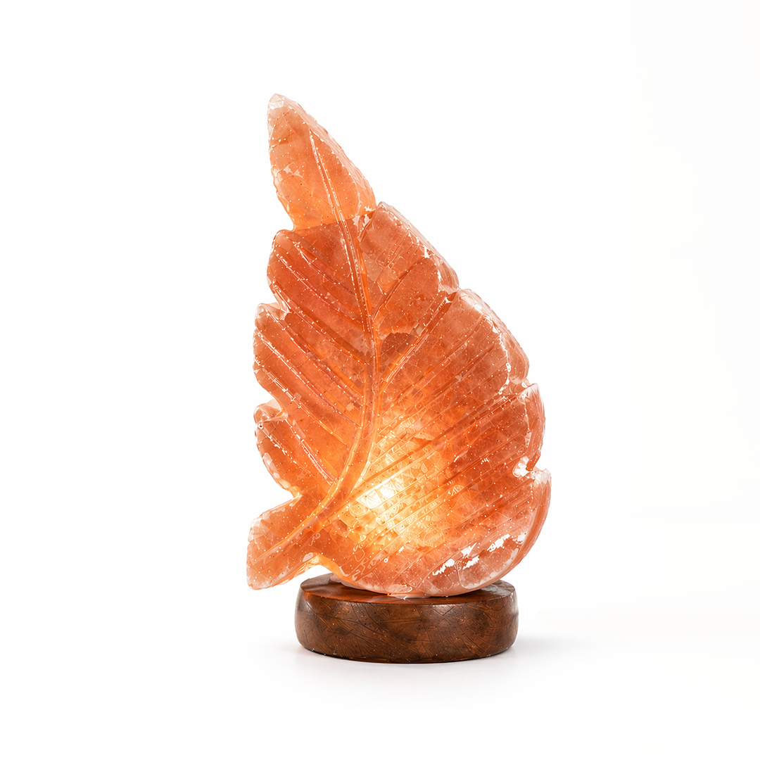 Himalayan Salt Lamp – Sculpted Leaf Form