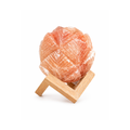 Himalayan Salt Lamp – Sculpted Rose Form